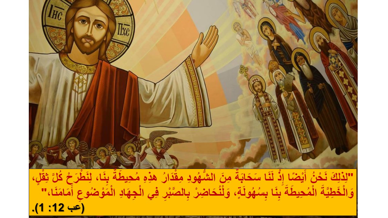 نياحة القديس تيموثاوس السائح.